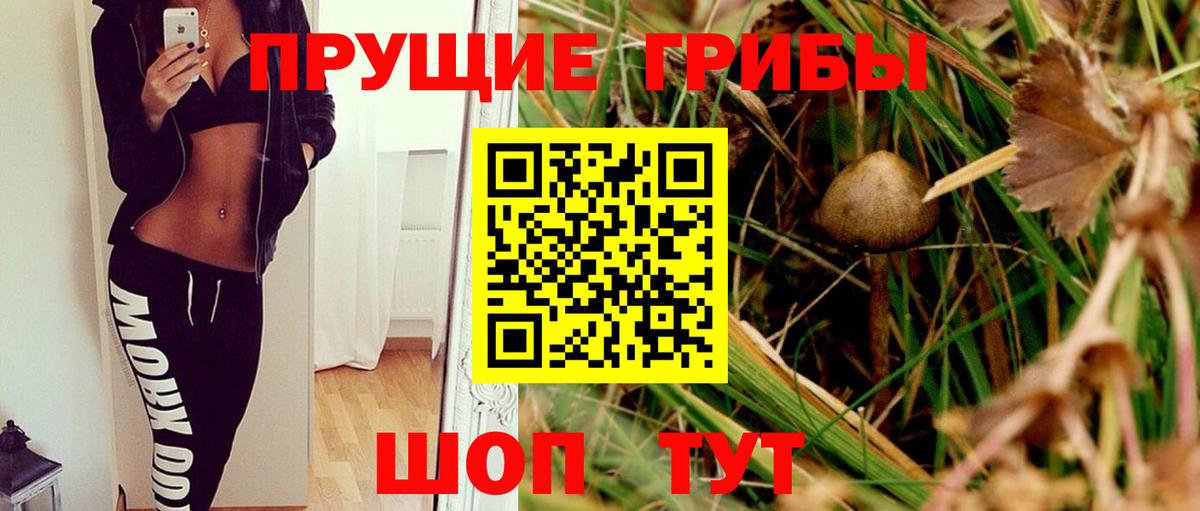 Галлюциногенные грибы мухоморы  Вход с VPN  Ипатово  Псилоцибиновые грибы Cubensis 